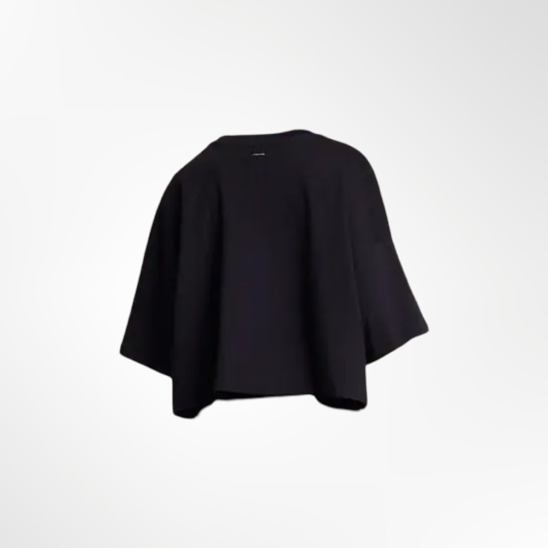 Remera Aulicus - T.L