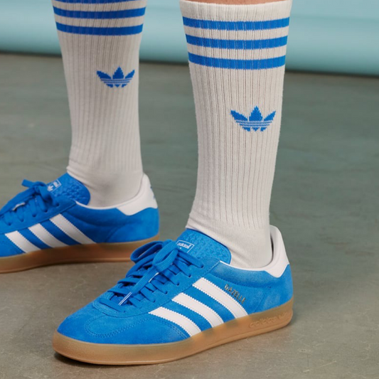 Gazelle Indoor - T.37