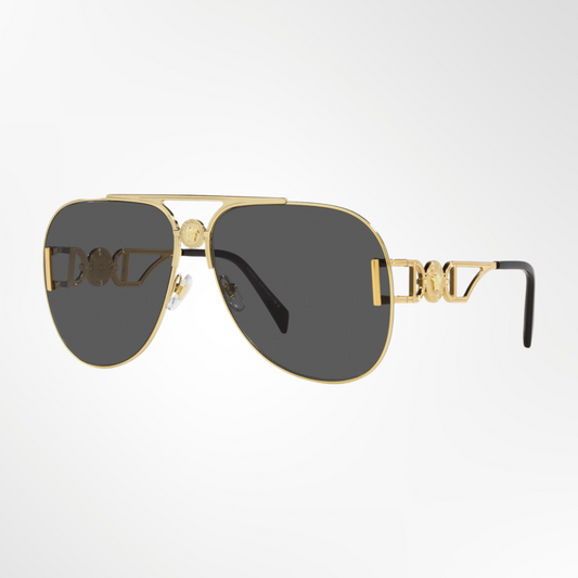 VE2255 Sunglasses