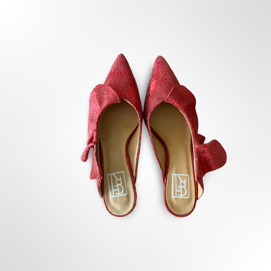 Zapato Red - T.36