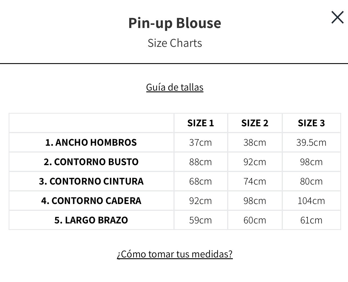 Pin-Up Blouse - T.S
