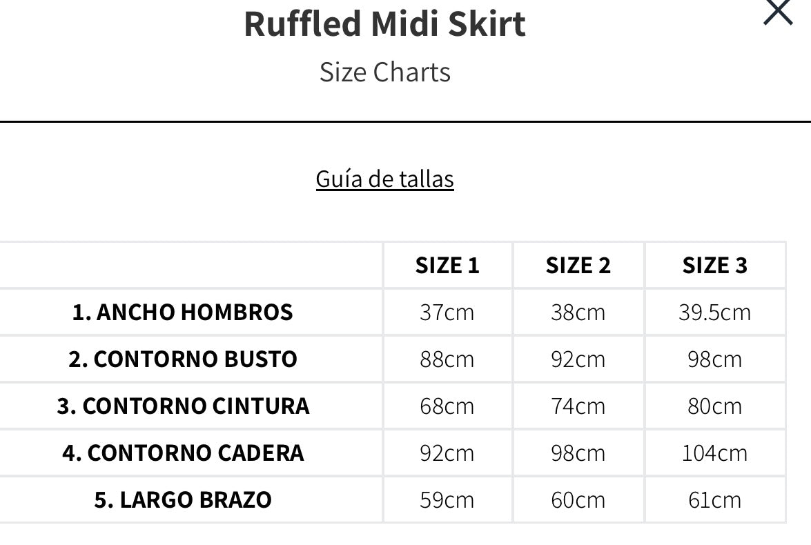 Ruffled Midi Skirt - T.S
