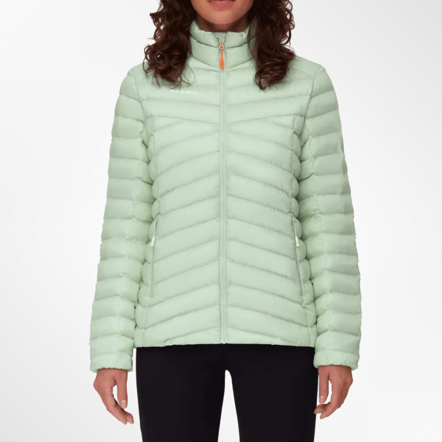 Albula IN Jacket - T.S